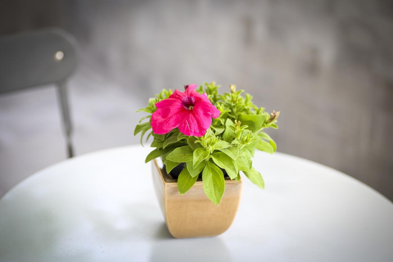 B&B Solarium Lido di Noto 외부 사진